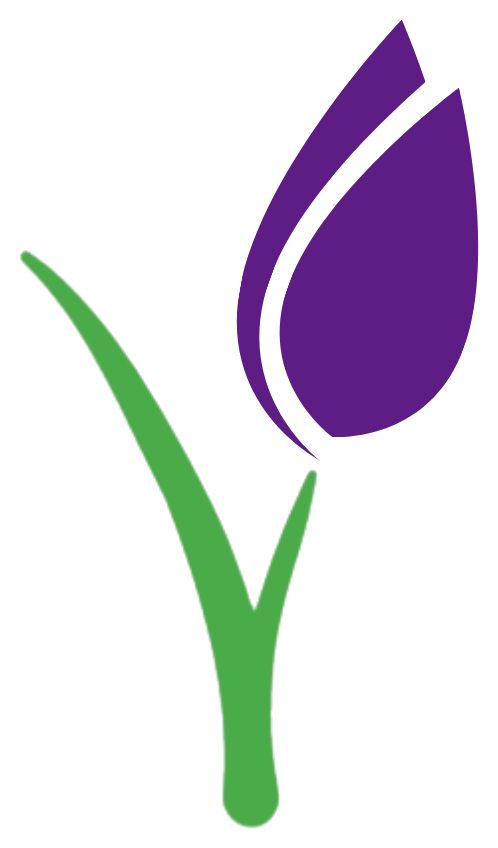Quanto Tempo Dura um Buquê de Flores?
