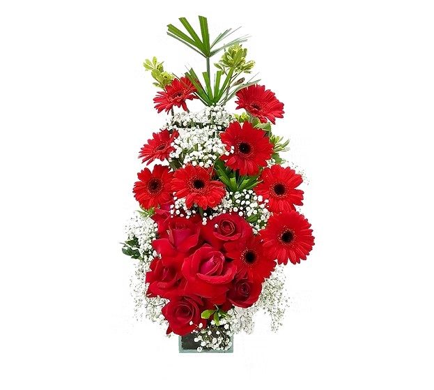 Arranjo de Gérberas e Rosas Vermelhas