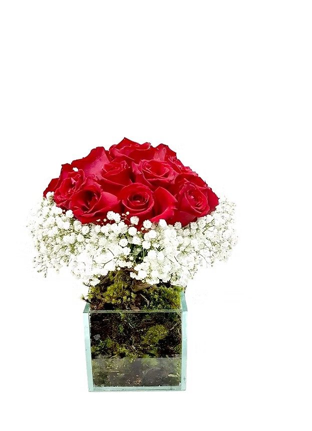 Tupiara Pequena de Rosas